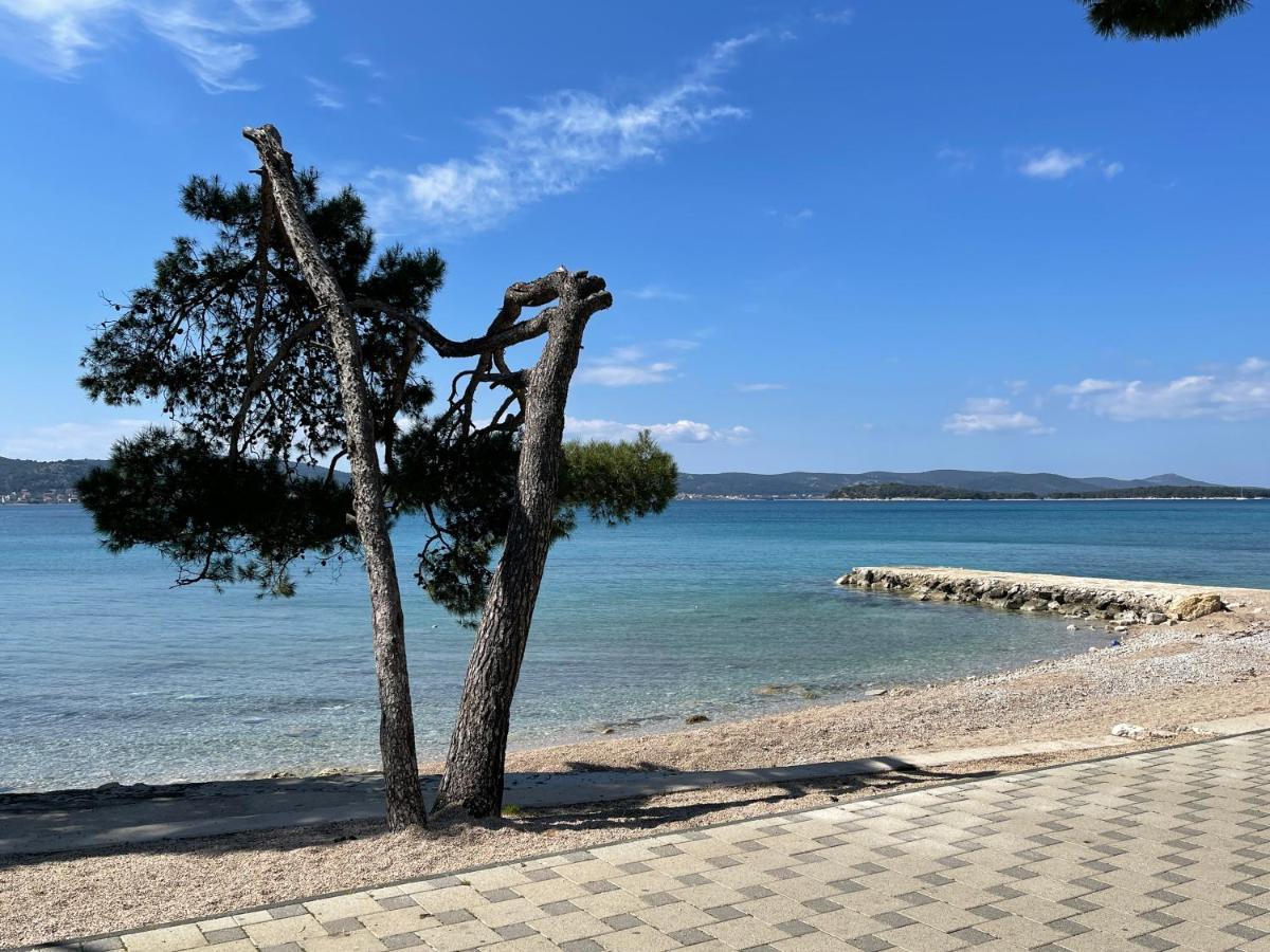 Campsite Pearl Of The Biograd